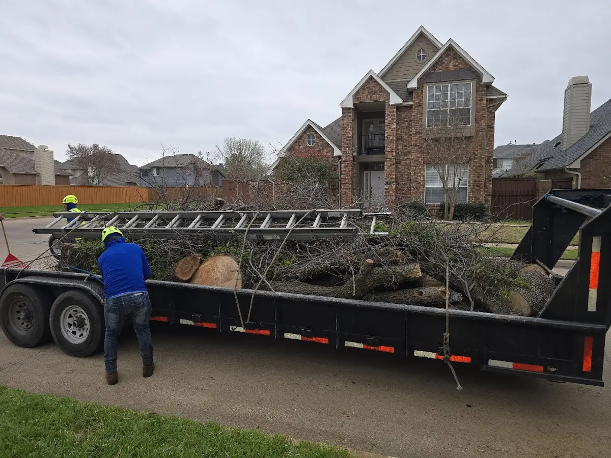 Expert Tree Fertilization with proper safety equipment in Culbertson